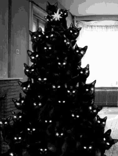 Xmas Kitty GIF