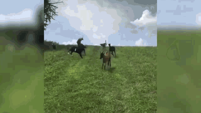 Funny Excited GIF - Funny Excited Running GIFs