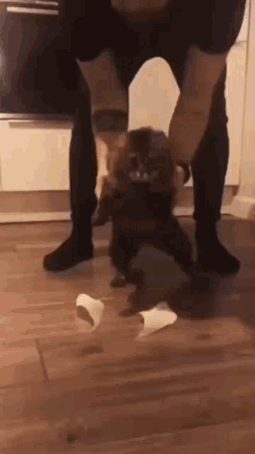 a man is standing next to a small dog that is playing with a roll of toilet paper .
