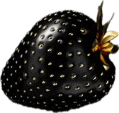 a black strawberry with a gold stem