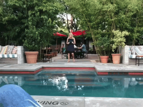 Pool Party Dance GIF