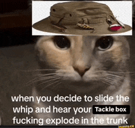 a cat is looking at the camera with a picture of a hat behind it .
