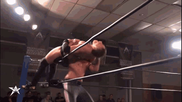 two wrestlers are in a ring with a sign that says professional wrestling reddit.com