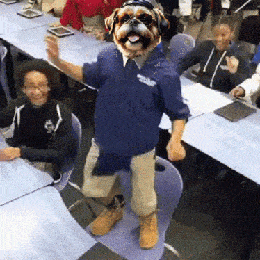a person with a dog on their head wearing a texas shirt