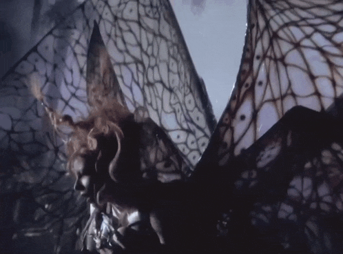 a close up of a butterfly 's wings with a pattern