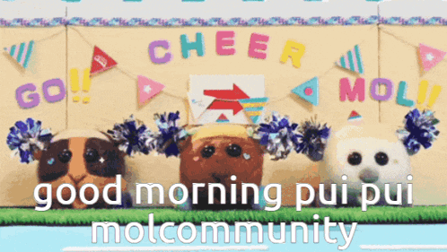 a group of stuffed animals are standing in front of a sign that says cheer