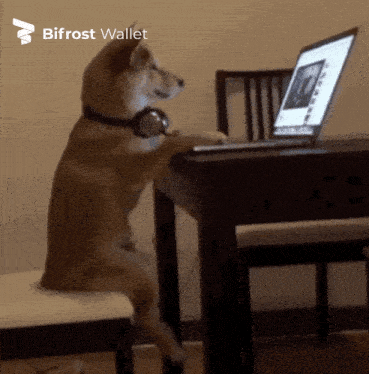a dog wearing headphones is sitting at a table with a laptop and a bifrost wallet logo