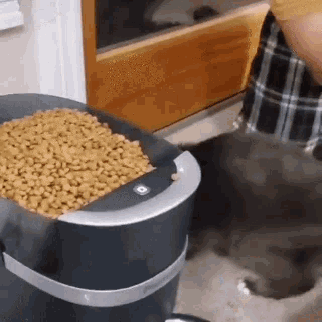 a person is feeding a dog from a dog food dispenser