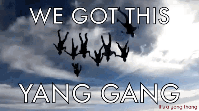 Yang Gang Skydive GIF - Yang Gang Skydive Yang GIFs