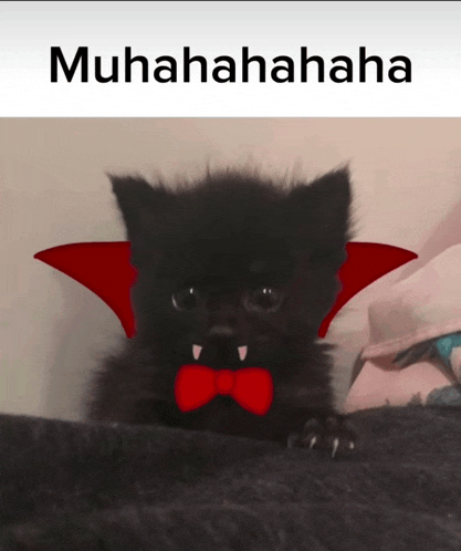 a black cat wearing a red bow tie and vampire wings with the caption muhahahahahaha