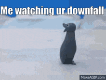 a penguin is standing in the snow with the words " me watching ur downfall "