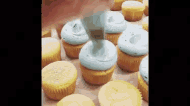 Cupcake Icing GIF - Cupcake Icing GIFs