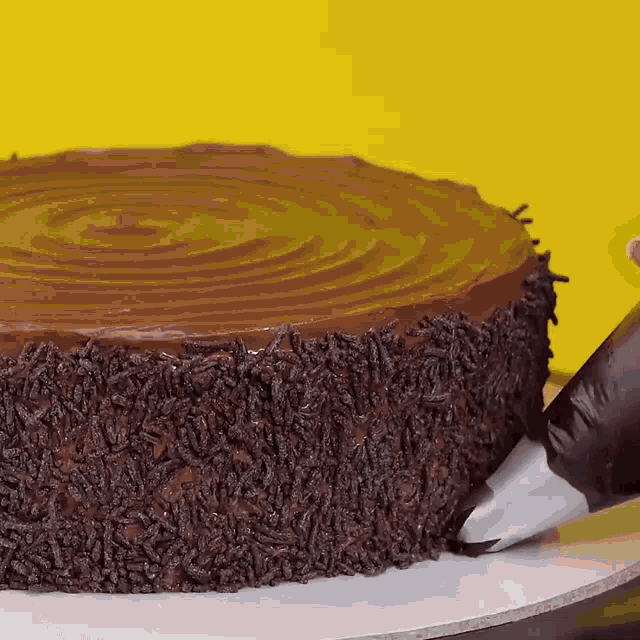 a chocolate cake with sprinkles on top is being decorated