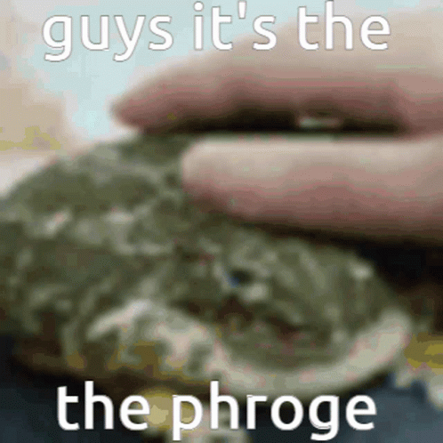 Frog Phrog GIF - Frog Phrog Phroge GIFs