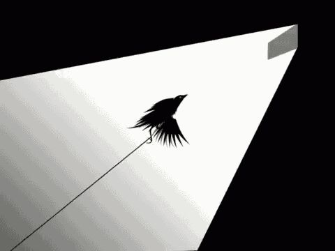 a shadow of a bird is cast on a white background