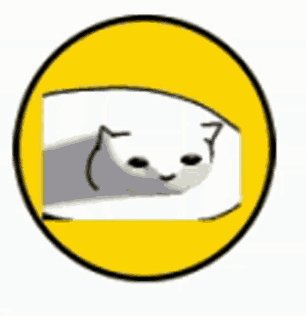 a black cat is in a yellow circle .