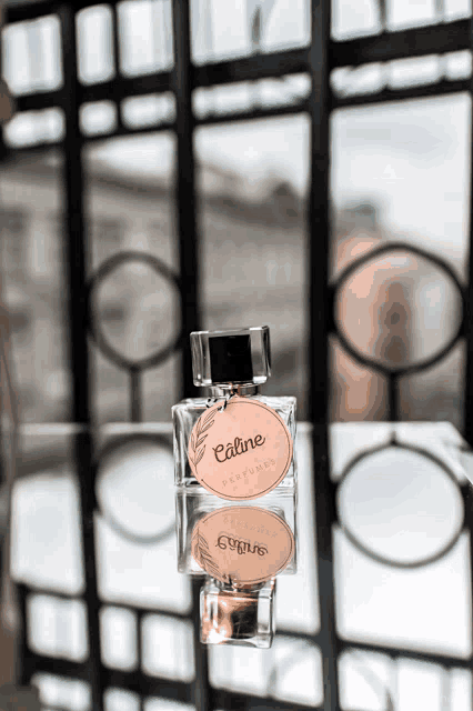 a bottle of celine perfume is on a table