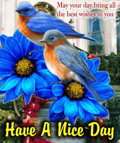 Morning Birds GIF - Morning Birds Best Wishes To You GIFs