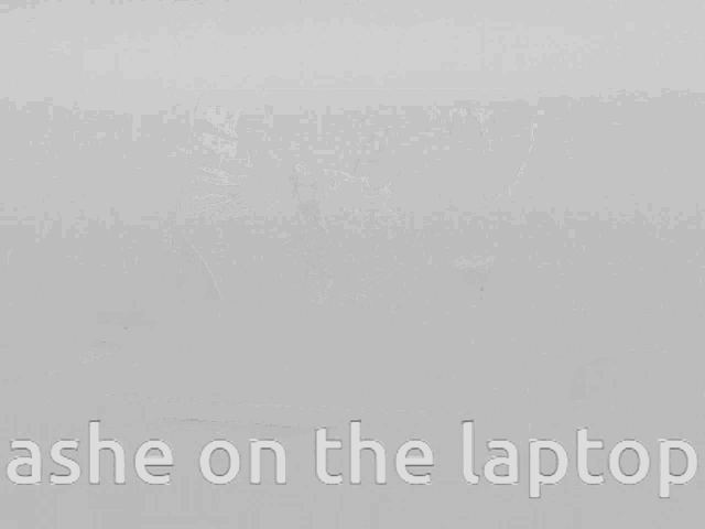 a laptop with a picture of a girl and the words ashe on the laptop below it