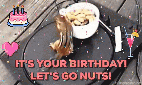 Birthday Squirrel GIF - Birthday Squirrel Dance GIFs