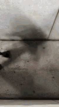 a shadow of a person walking on a tiled floor