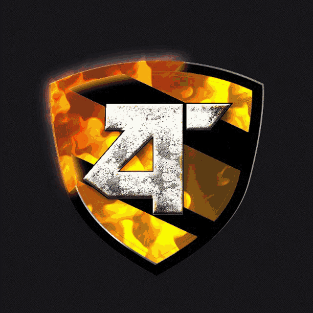 a black and yellow shield with a white letter z on it