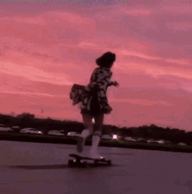 Aesthetic Skater GIF - Aesthetic Skater Egirl GIFs