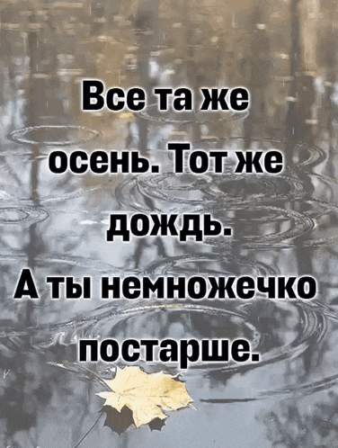 a leaf is floating in a puddle of water with the words " все та же осень " above it