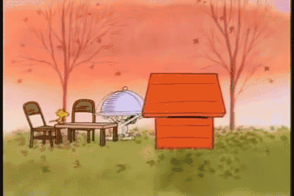 Turkey Day GIF - Charlie Brown Thanksgiving Snoopy GIFs