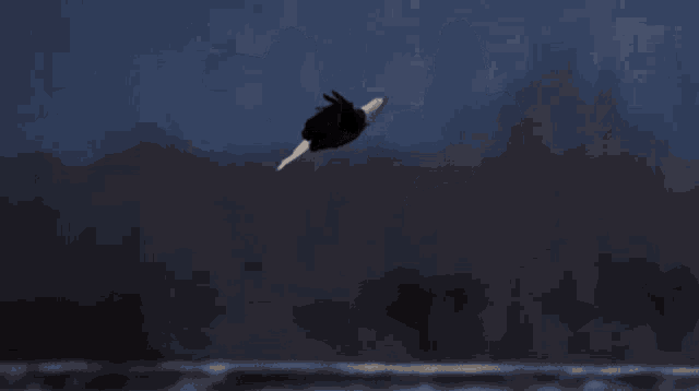 two bald eagles are flying in the dark sky
