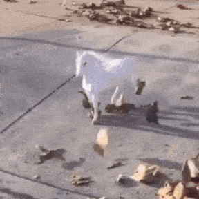 a white horse is standing on a sidewalk next to a pile of trash .