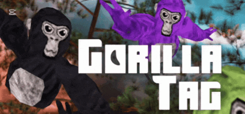 a purple gorilla is next to a black gorilla with the words gorilla tag below them
