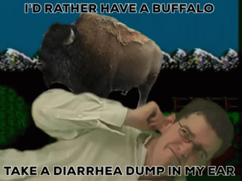Id Rather Have A Buffalo Take A Diarrhea Dump In My Ear Avgn GIF - Id Rather Have A Buffalo Take A Diarrhea Dump In My Ear Avgn Buffalo GIFs