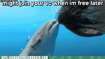 Might Join Vc I'Ll Join Vc GIF
