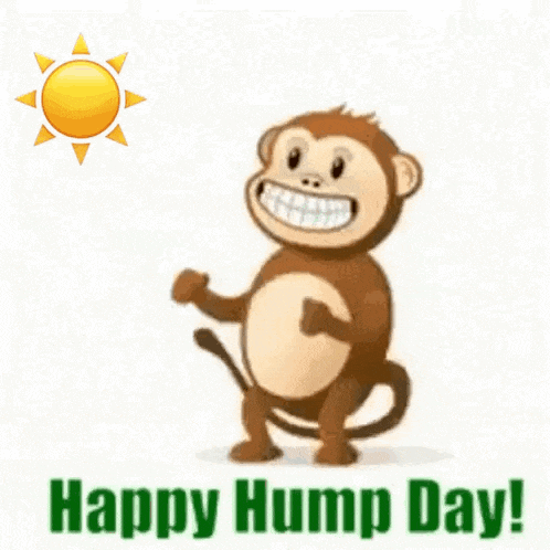 a happy hump day greeting with a monkey and a sun