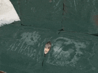 a cat is standing on a green couch with a stain on it .