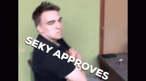 Seky Approves GIF - Seky Approves GIFs