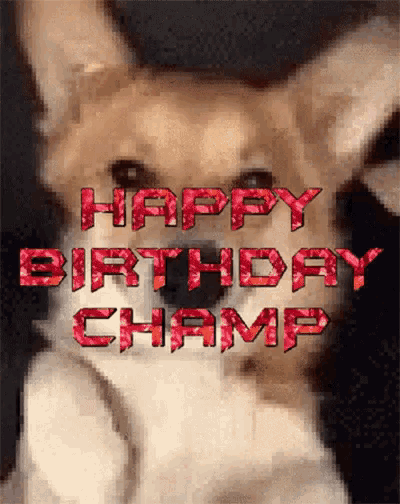 Happy Birthday Champ Hbd GIF - Happy Birthday Champ Hbd Happy Birthday GIFs
