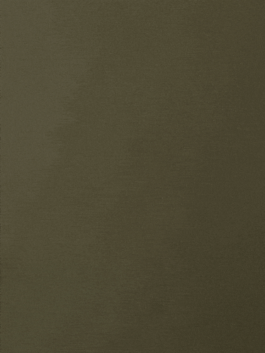 a close up of a piece of paper with a plain texture