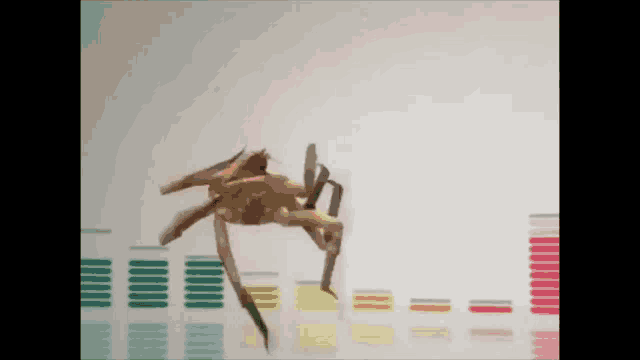 a spider is crawling across a white surface in front of a graphic equalizer .