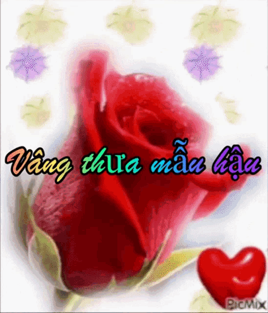 a red rose and a red heart are on a white background with flowers .