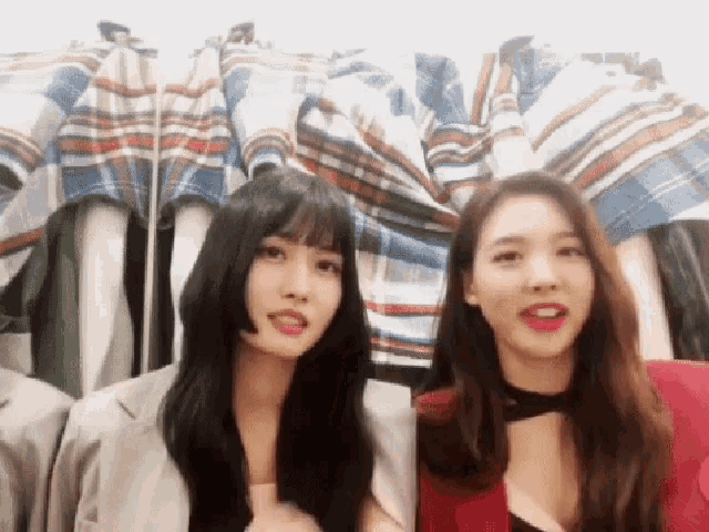 two women are standing next to each other in front of a wall of plaid shirts .