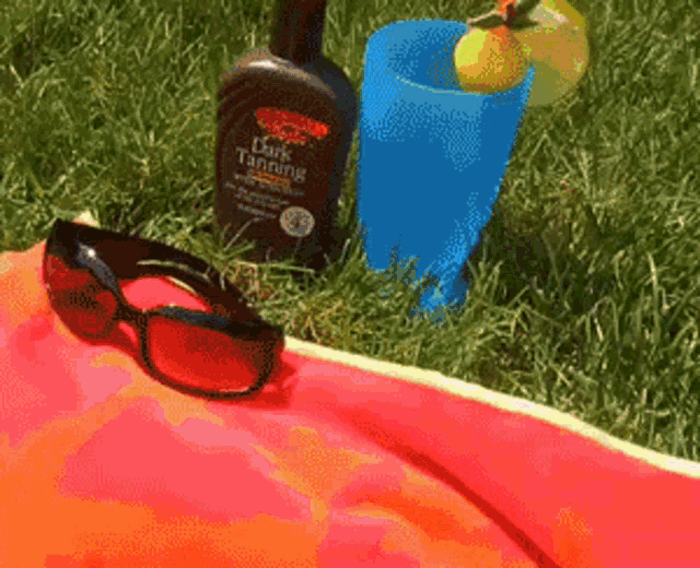 Dog Bikini GIF - Dog Bikini Sun Bathing GIFs