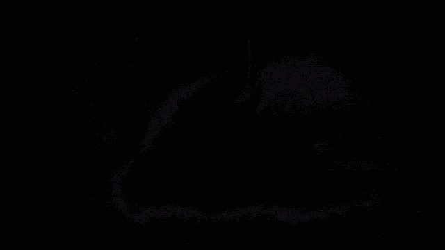 a drawing of a flaming eagle with the words from phoenix written below it