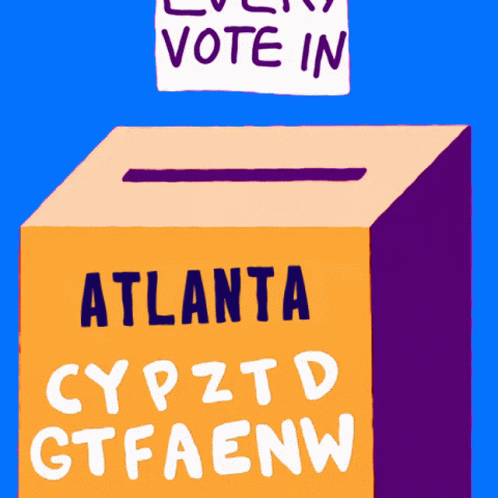 Every Vote Must Be Counted Count Every Vote GIF