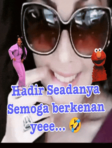 a woman wearing sunglasses has a elmo puppet behind her