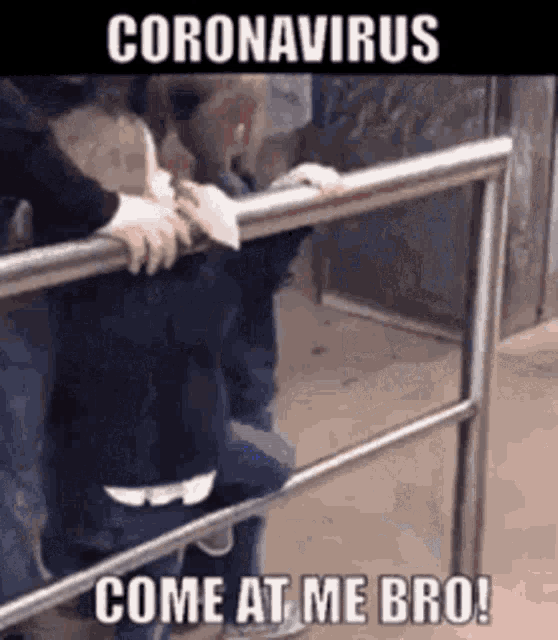 a picture of a person standing next to a railing with the caption coronavirus come at me bro !