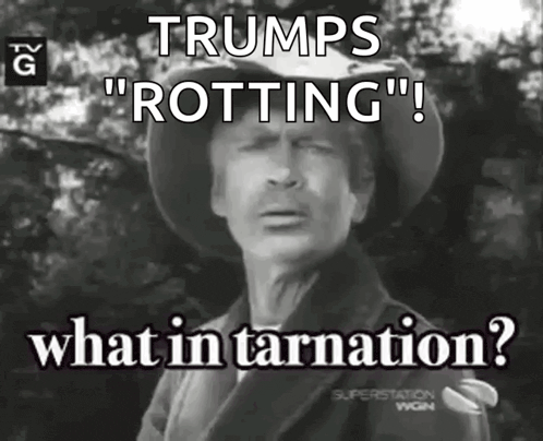 a man in a cowboy hat says " trumps rotting "