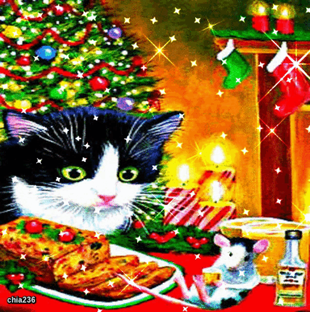 a black and white cat is sitting in front of a christmas tree and a plate of food