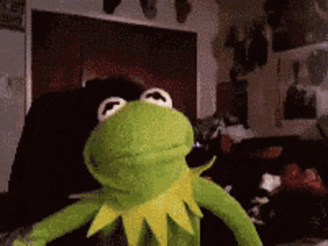 Kermit Funny GIF - Kermit Funny Masturbation GIFs